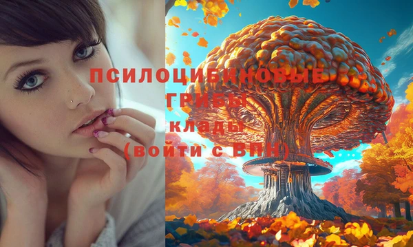 стаф Дубовка