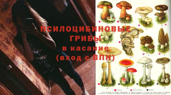 соль курить ск Дубна