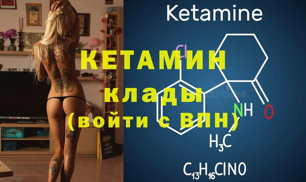 стаф Дубовка