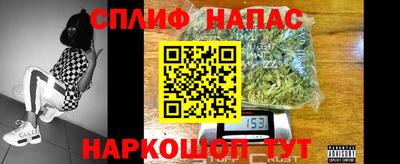 ешки Гагарин