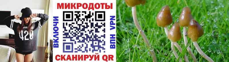 Псилоцибиновые грибы Psilocybe  цены   ссылка на мегу как зайти  Кандалакша 
