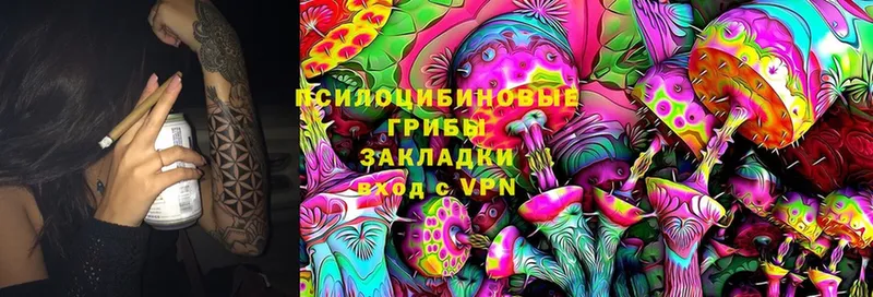 Галлюциногенные грибы MAGIC MUSHROOMS  KRAKEN сайт  Кандалакша 