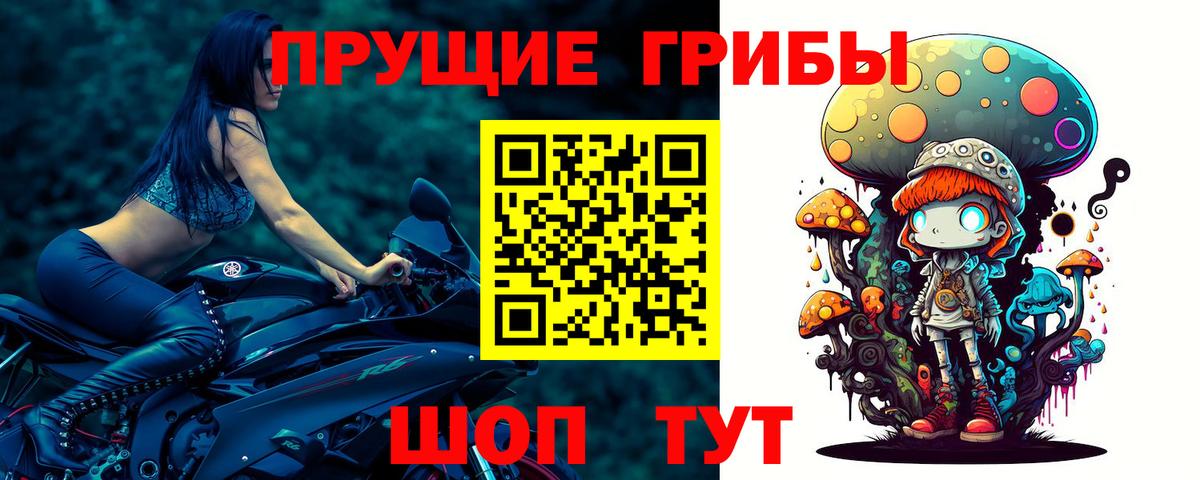 Галлюциногенные грибы Cubensis Кандалакша