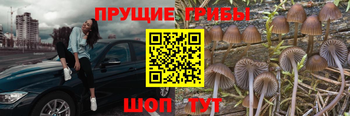 Псилоцибиновые грибы ЛСД  Галлюциногенные грибы MAGIC MUSHROOMS  Вход с VPN  Кандалакша 