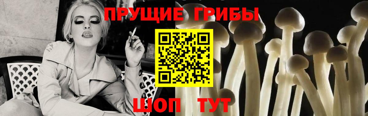 Галлюциногенные грибы Кандалакша